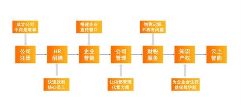 科技普惠新篇章 阿里云以數(shù)字技術(shù)服務(wù)驅(qū)動(dòng)中小企業(yè)數(shù)字化轉(zhuǎn)型